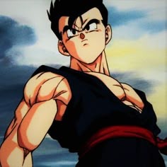 Adult Gohan User Picture