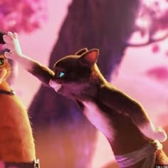 Puss In Boots Matching