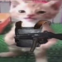 Rust Cat Frostbite Pfp By Adamekk Rust Cat Frostbite Pfp By Adamekk
