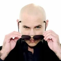 Pitbull Pfp