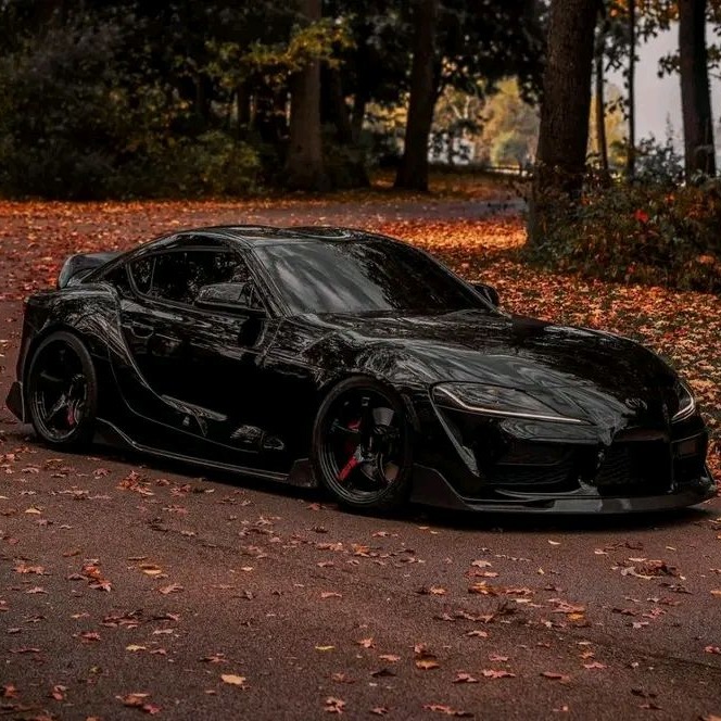 Supra Profile Image