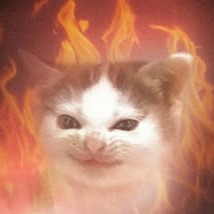 Evil Cat