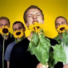 Coldplay Pfp