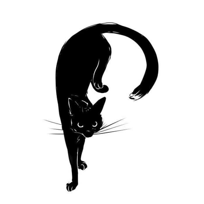 Black Cat Avatar Pfp