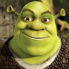 Shrek Profile Icon