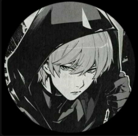 hoodanimeboyhoodie10/10 Pfp