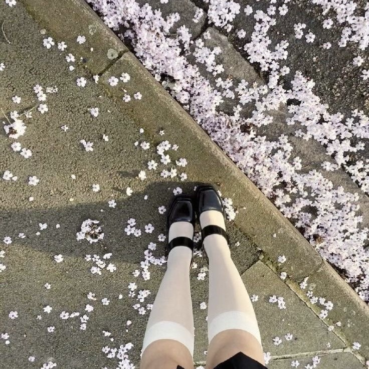 CherryBlossom Pfp