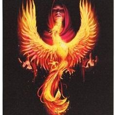 Phoenix Pfp