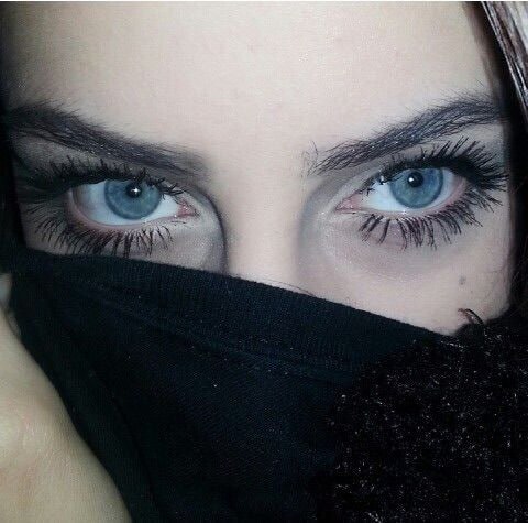 Com Pfp