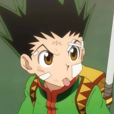 Gon 18
