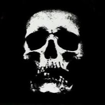 Skull Icon