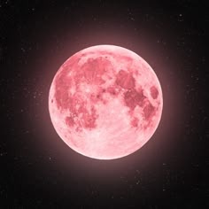 Planet User Icon