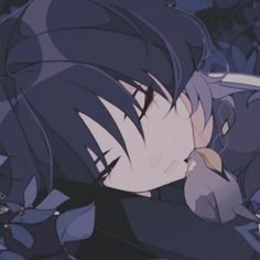 Wanderer Pfp