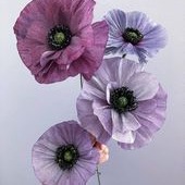 Flower Profile Icon Pfp