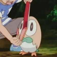 Rowlet