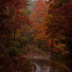 Autumn Pfp by rockhartd