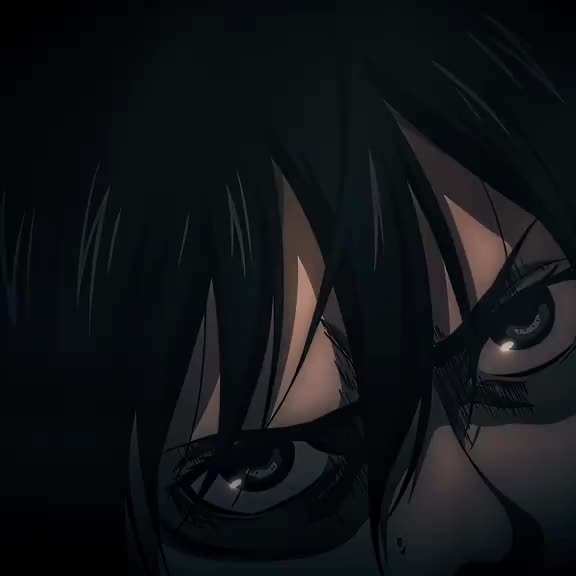 Mikasa Aesthetic