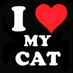 I Love My Cat