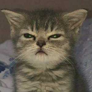 Angwy