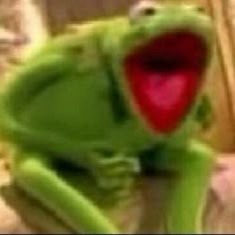 Kermit The Frog