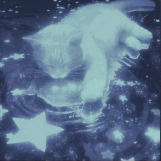 Bluecat Pfp
