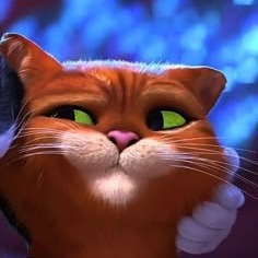 Puss In Boots Matching