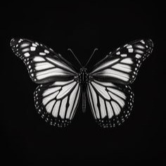 Black And White Profile Picture
