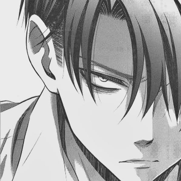 Levi Ackerman Pfp