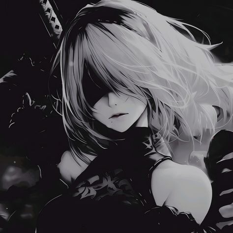 2b Profile Photo Profile Picture