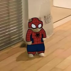 Spider-man Cat Profile Picture