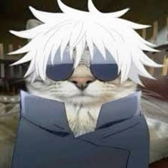 Geto Cat