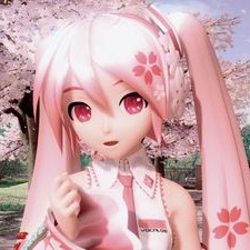 Sakura Miku Profile Photo