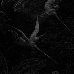 Dark User Icon