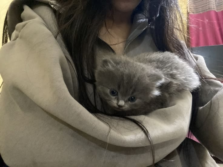 NoFacecat Pfp
