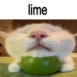 Cat lime