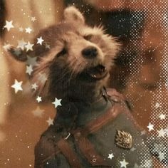 Rocket Raccoon Pfp