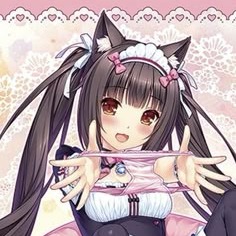 Chocola Profile Image