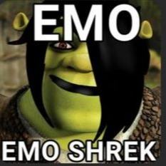 I Love Shrek