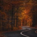 Autumn Pfp