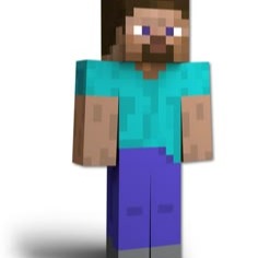 Steve Sticker