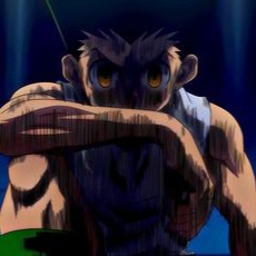Adult Gon