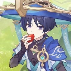 Wanderer Pfp