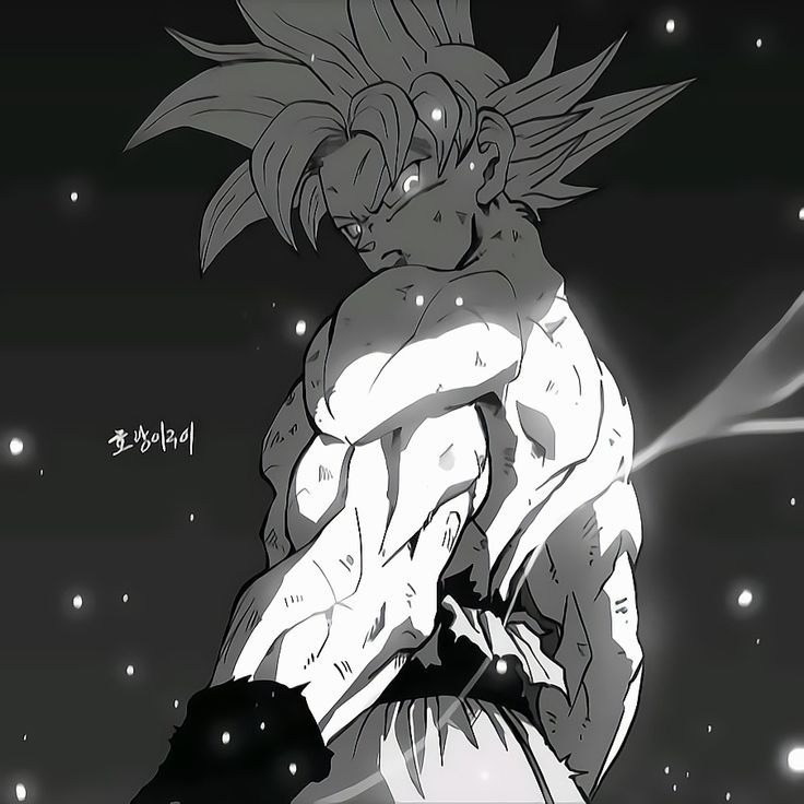 Dragon Ball Matching Profile Picture