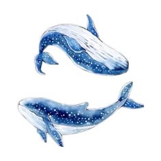Blue Pfp