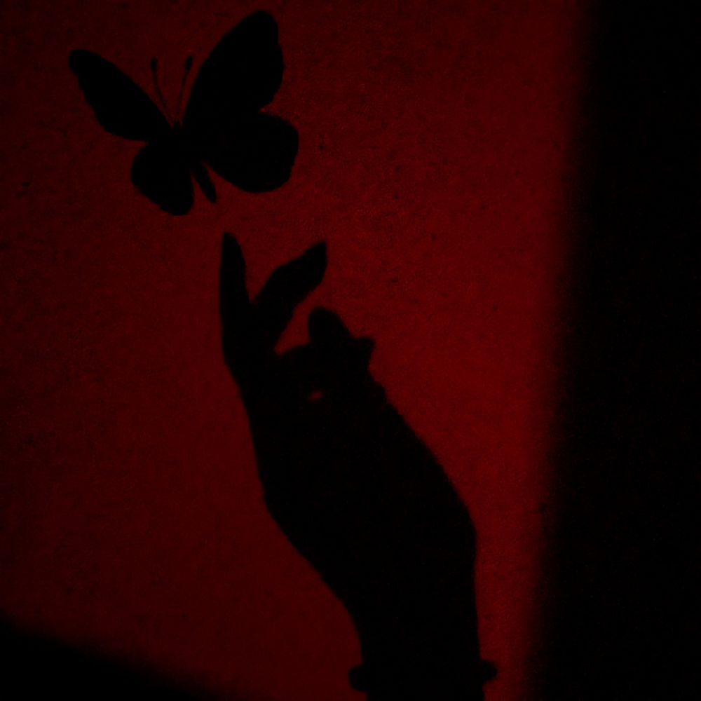 BloodButterfly Pfp