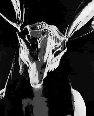 Antlersofdarkness Pfp