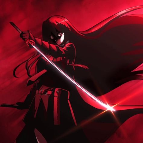 Akame Ga Kill Account Avatar