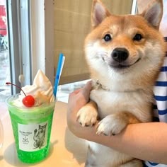 Shiba Inu Pfp