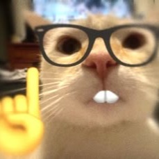 Cats With Glasses