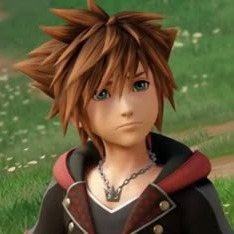 Sora Kingdom Hearts